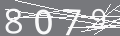 capsa